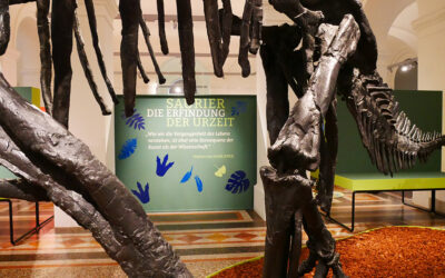 Die Saurier sind los – Führungen rund um Grabung und Ausstellung vom 27. Juli bis 26. September
