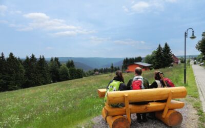 Nachhaltige Regionalentwicklung: Umweltministerium fördert drei Projekte in der Region Ilmenau mit rund 330.000 Euro