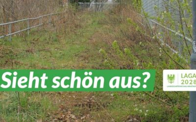 Arnstadt bewirbt sich um die Landesgartenschau 2028