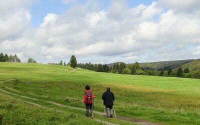 Künstlerischer Ideenwettbewerb für Frauenwalder Panoramaring gestartet
