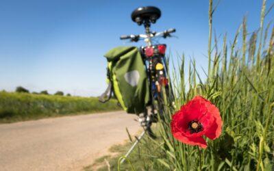 Mit Bus und Bike hinauf auf den Rennsteig