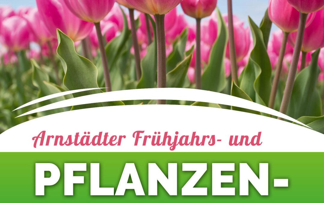 Frühjahrs- und Pflanzenmarkt: Es grünt so grün in Arnstadts Mitte