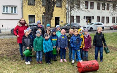 Der „Ilm-Kreis blüht“ – Initiative für mehr Biodiversität und Insektenschutz startet in Stadtilm