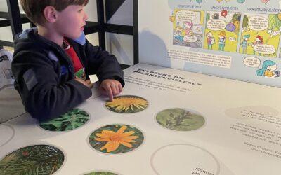 Flora Incognita: App zur Pflanzenbestimmung der TU Ilmenau geht mit MS Wissenschaft auf Tour