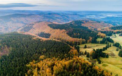 „Außergewöhnlich Wild“ – Genuss-Wochen vom 23.09. – 09.10.2022 im Biosphärenreservat