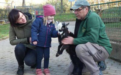Besucherrekord im Tierpark „Fasanerie“ Arnstadt