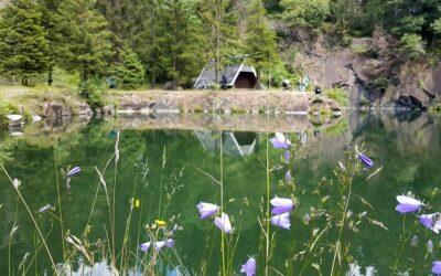 Deutschlands Schönster Wanderweg 2023 gesucht – Rundweg Spittergrund Bergsee Ebertswiese dabei