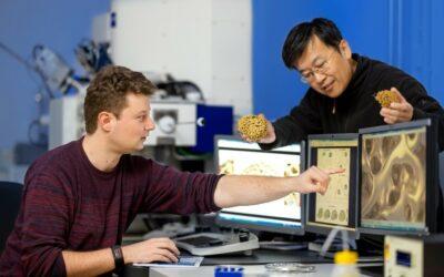 Wissenschaftler decken Geheimnis der inneren Struktur von Gold-Nanoschwämmen auf