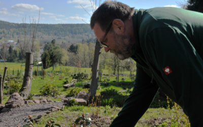Blütenpracht bestaunen beim Rhododendronfest am 13. und 14. Mai in Bad Tabarz