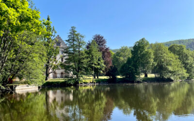 Schloss und Park Reinhardsbrunn: Masterplan zur Weiterentwicklung vorgestellt
