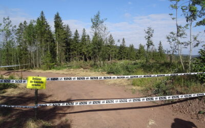 Baubeginn für den Mountainbike-Trailpark am Ilmenauer Lindenberg