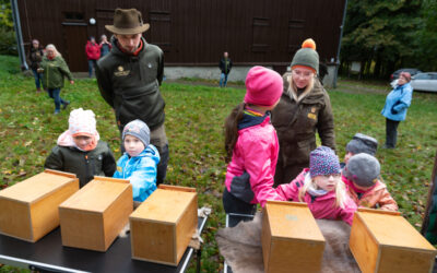 Kickis Waldabenteuer sind wieder da
