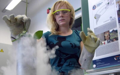 Studienorientierung an der TU Ilmenau: „Studiere Naturwissenschaften für einen Tag“