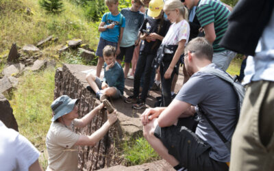 Am Bromacker wird wieder nach Ursauriern gegraben – und das kommt auch dem Tourismus zugute