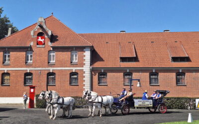 Crawinkler Landwirt punktet mit seiner Kutsche beim Internationalen Traditionsfahrturnier in Celle
