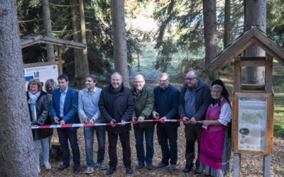 GeoRoute 18 – der Mühlsteinweg – ist eröffnet und lädt mit Geschichtswissen zum Entdecken ein