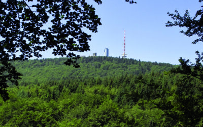 Thüringer Wandertag 2026 findet in Bad Tabarz statt