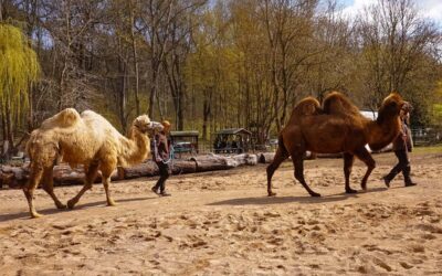 Neuerungen im Tierpark Gotha