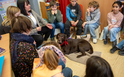 Balu ist Gothas erster Schultherapiehund