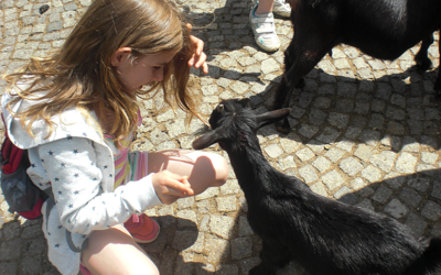 Freie Plätze für Sommerferienprogramm – Kinderprojekt LIORA bietet Ausflüge, Workshops und offene Angebote für Kinder und Jugendliche